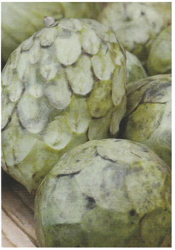 La Verne Nursery - Cherimonya Honeyheart (Annona cherimoya)