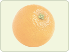 Citrus