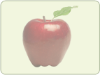 Deciduous