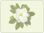 Ornamentals